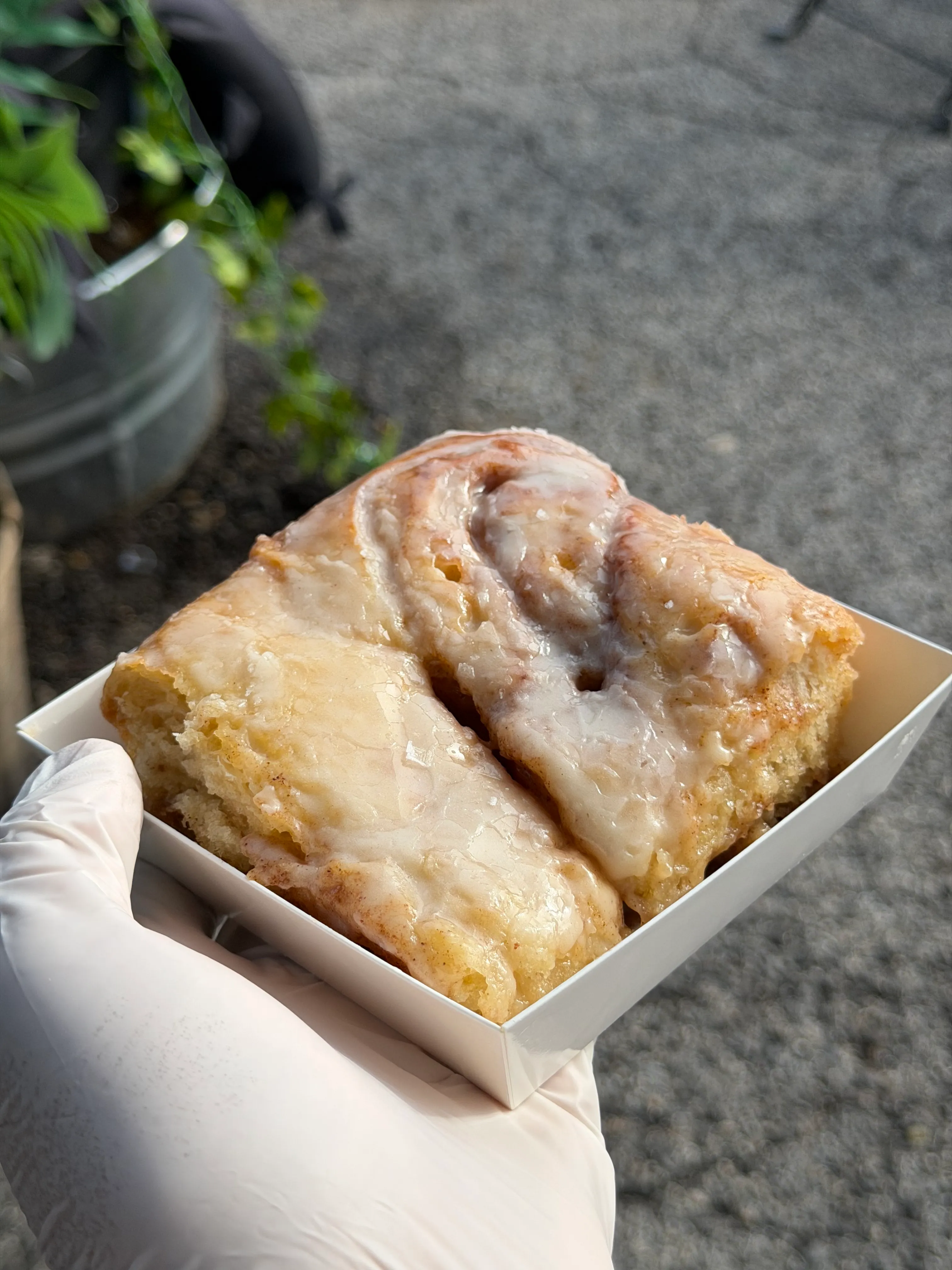 Gloved hand holding a glazed cinnamon roll in a small bakery box.